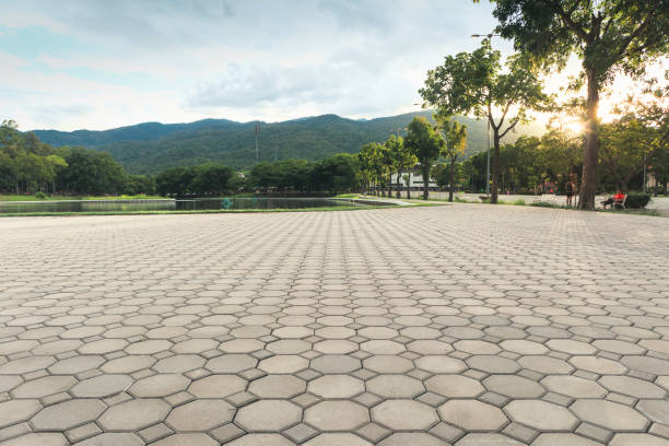 Best Professional Driveway Pavers  in Miller Place, NY